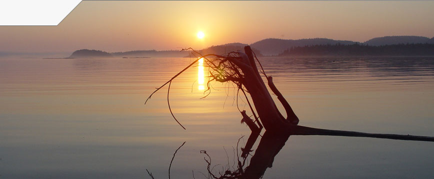 slideshow_image