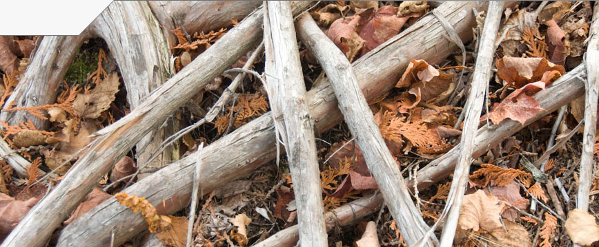 slideshow_image